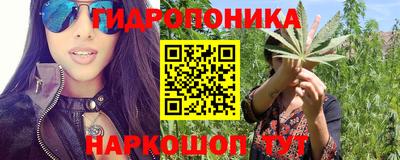 ГАЛЛЮЦИНОГЕННЫЕ ГРИБЫ Кулебаки