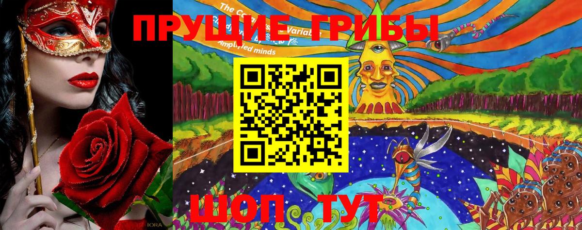 хочу наркоту  Вход с VPN  Чайковский  Псилоцибиновые грибы MAGIC MUSHROOMS 